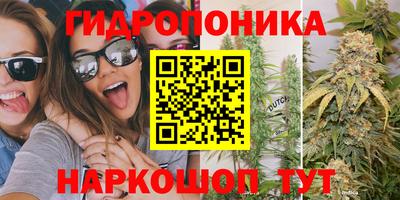 эйфоретик Кандалакша