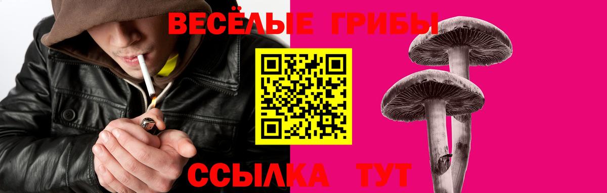Лесозаводск  Псилоцибиновые грибы мицелий  Вход с VPN 